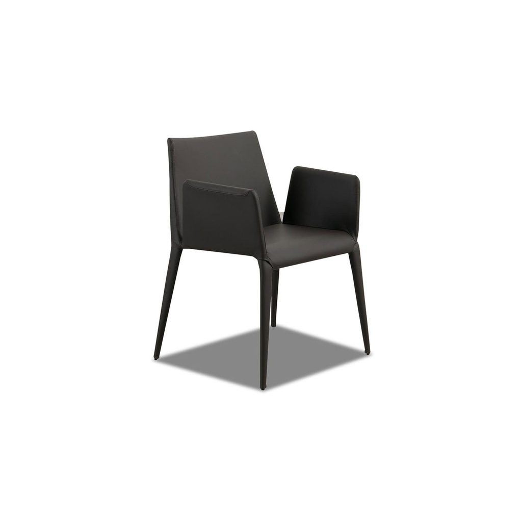 ALBA PLUS Armstuhl FILE in Leder braun
