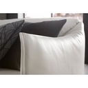Willi Schillig Sofa 15350 SALLY in Leder Z77 konfigurierbar