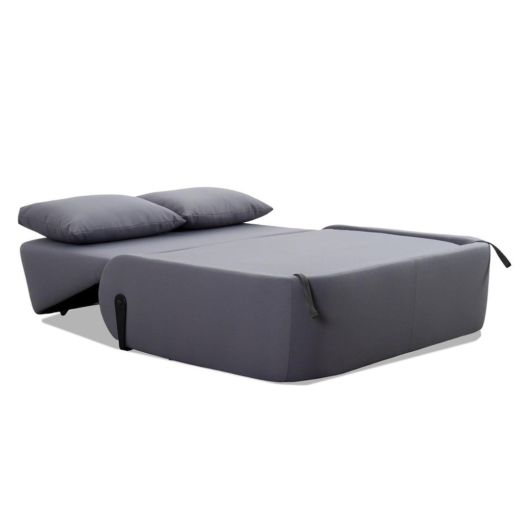 Saloni Schlafsofa Sleepo - 2-Sitzer Sofa grau