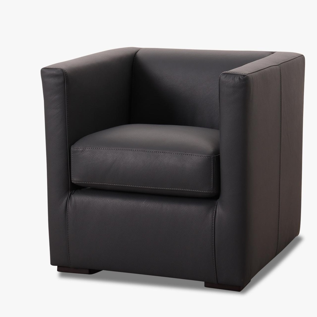 Catra Home Sessel LINO in Leder Toledo anthrazit